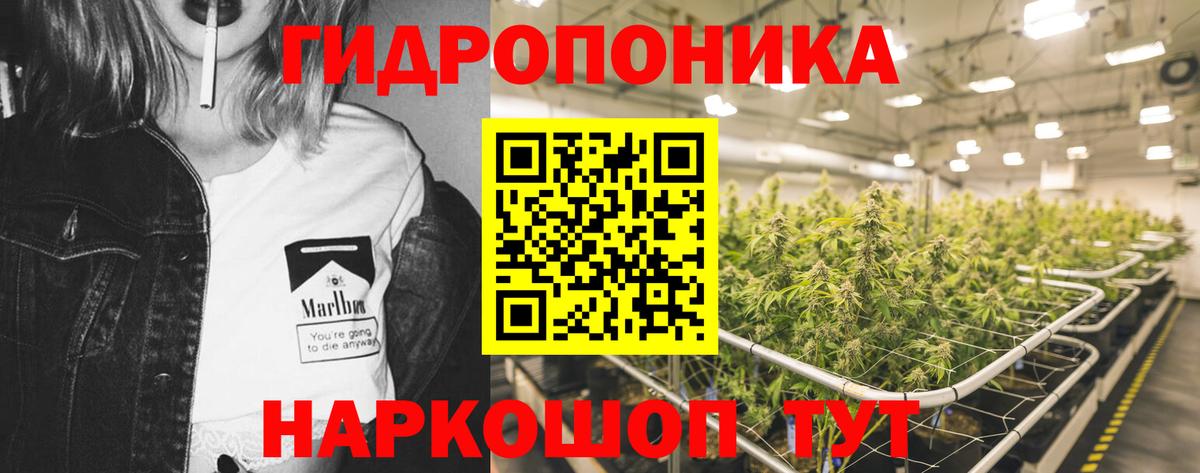 Бошки Шишки индика  Конопля OG Kush  Вход с VPN  Тамбов  Канабис AK-47 